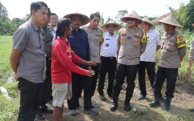 Kapolresta Tangerang Polda Banten Tanam Bibit Jagung Dukung Ketahanan Pangan Dan Program Poliran