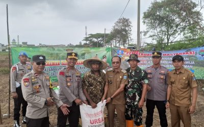 Dukung Ketahanan Pangan ,Polsek Cikande Polres Serang Gelar Penanaman Bibit Seluas 1,3 Ha