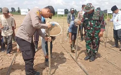 Dukung Program Asta Cita Ketahanan Pangan, Polsek Jawilan Polres Serang Bersama Unsur Muspika Melaksanakan Kegiatan Tanam Jagung