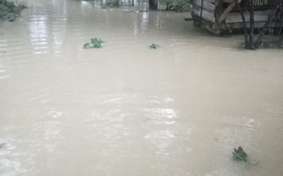 Banjir Melanda Sejumlah Desa di Wilayah Kecamatan Patia dan Sukaresmi