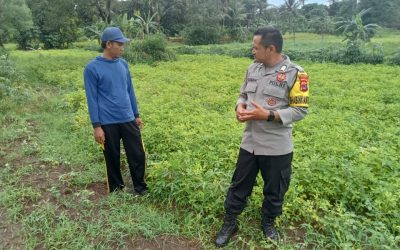 Pendampingan Rutin Personil Bhabinkamtibmas Polsek Purwakarta Polres Cilegon Kepada Patani Tentang Ketahanan Pangan 