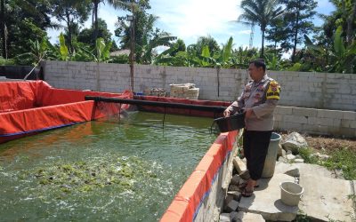 Dukung Program Ketahanan Pangan, Bripka Suhendra Anggota Polsek Maja Budidaya Ikan Lele